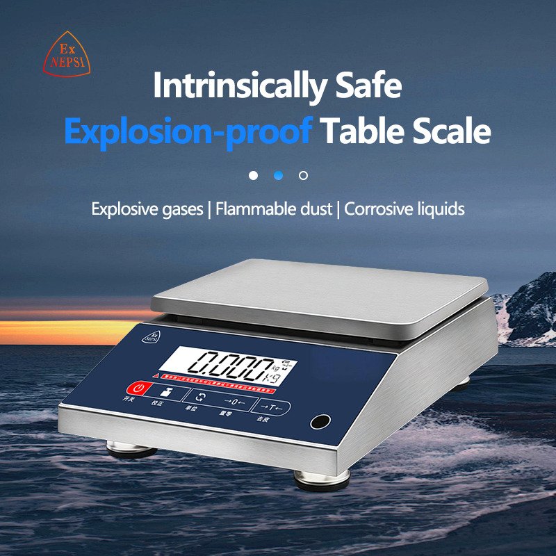 High-Precision Explosion-Proof Scale