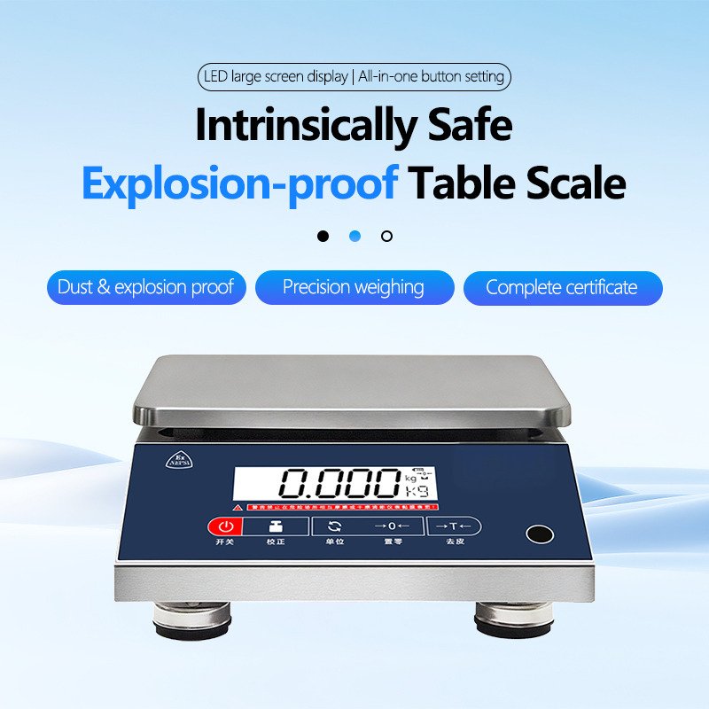 High-Precision Explosion-Proof Scale