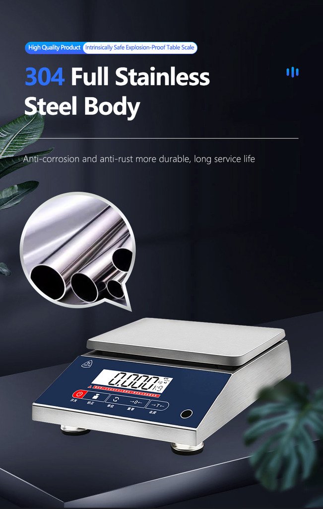 High-Precision Explosion-Proof Scale