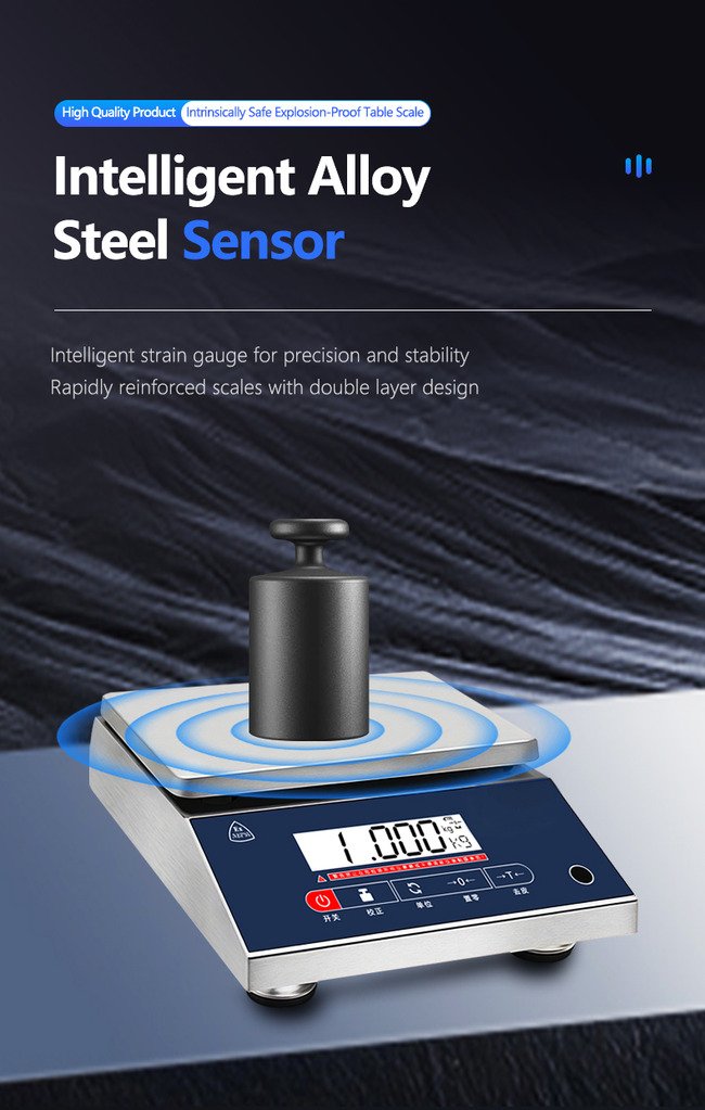 High-Precision Explosion-Proof Scale