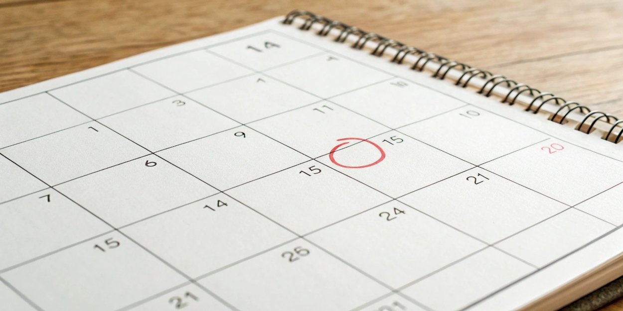 A calendar with a date circled for scale calibration