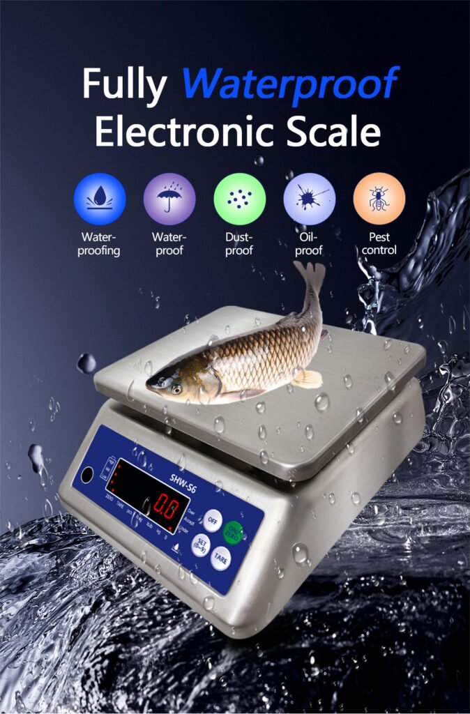 S6 Stainless Steel Waterproof Scale