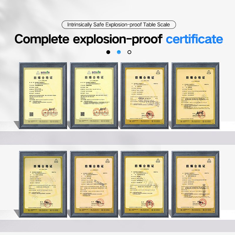 High-Precision Explosion-Proof Scale