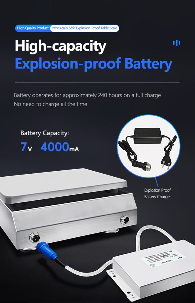 High-Precision Explosion-Proof Scale