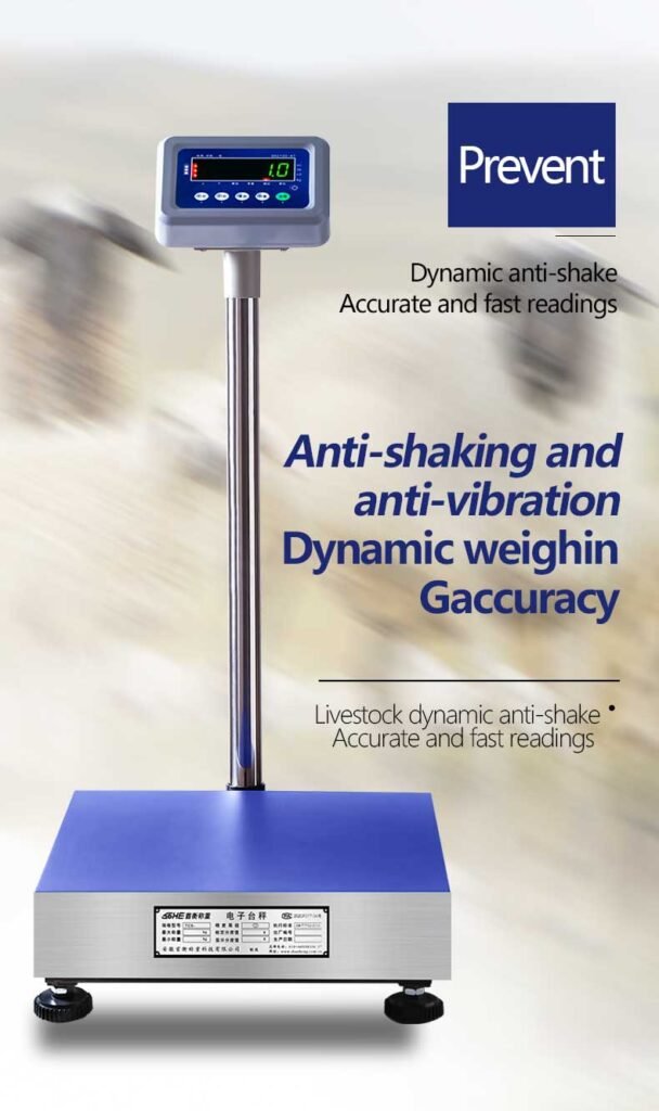 B7 Platform Scale 300*400mm