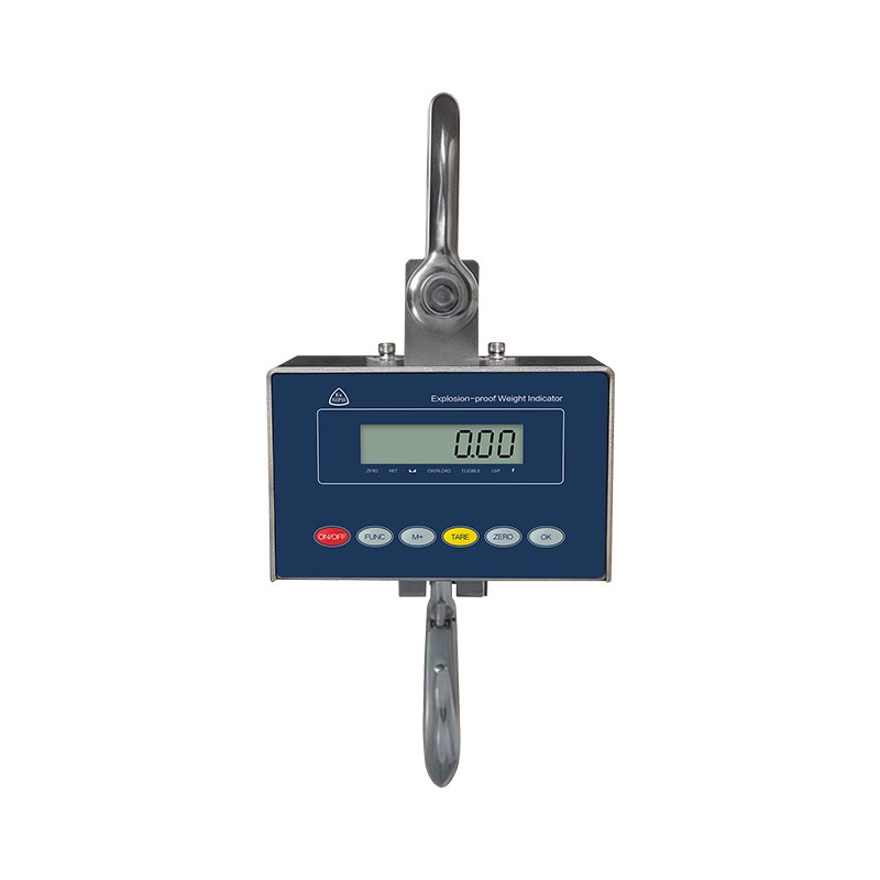 Explosion-Proof Crane Scale