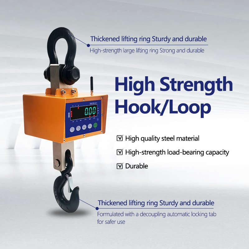 Direct-view Crane Scale