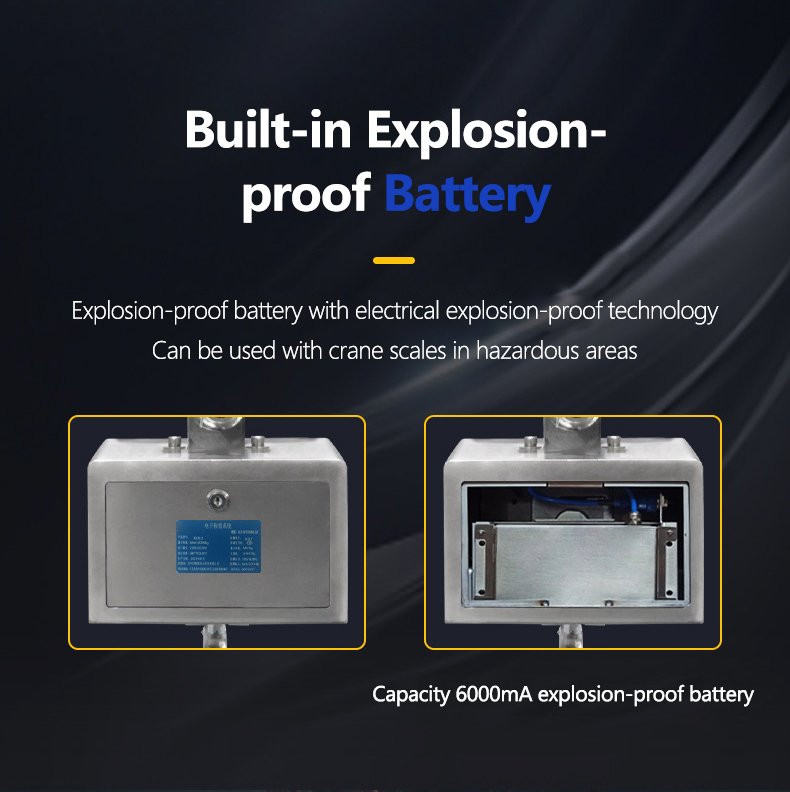 Explosion-Proof Crane Scale