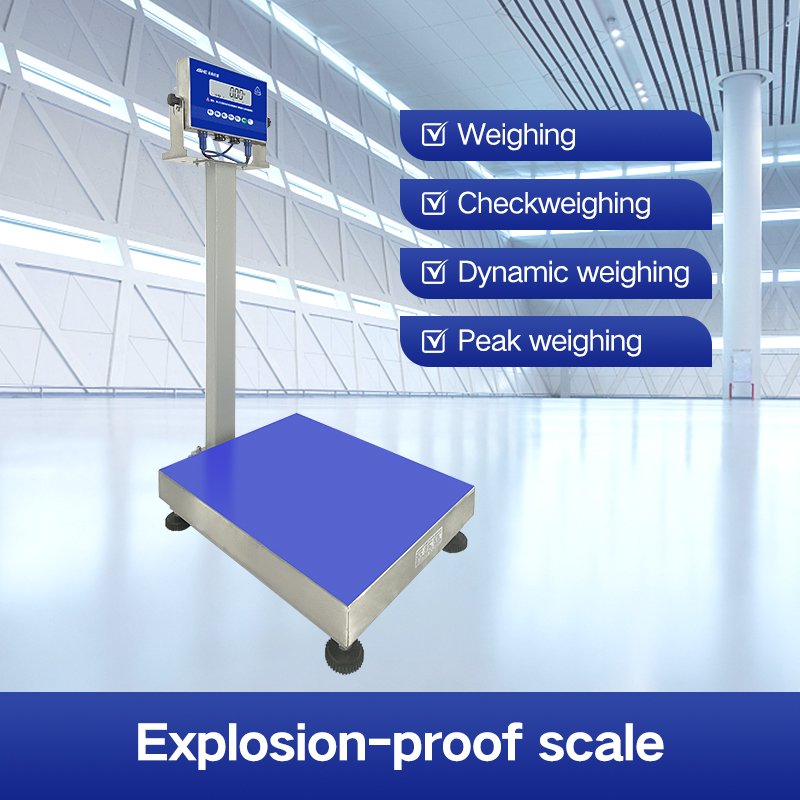 Explosion-Proof Platform Scale