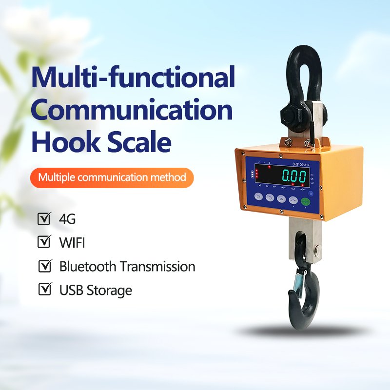 Direct-view Crane Scale