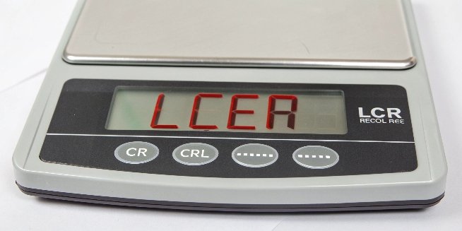 What is the LCER Error on a Digital Weighing Scale?