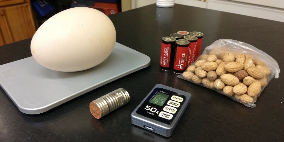 Everyday items that weigh approximately 50 grams on a table