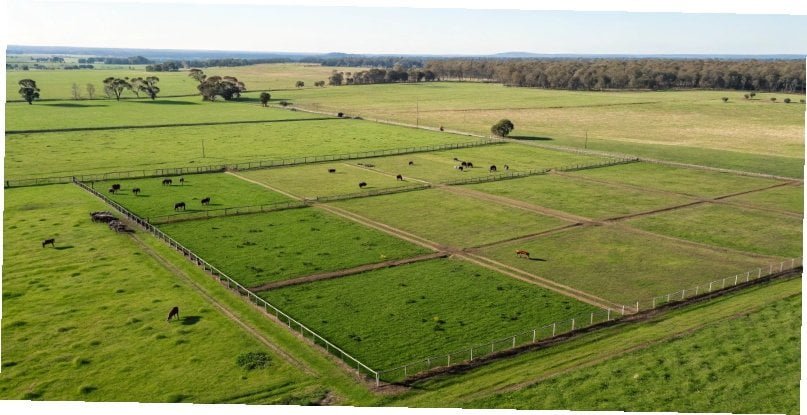 a diagram showing rotational grazing paddocks on a one-acre plot