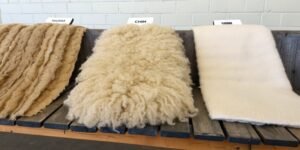 What are the different types of sheep scales?