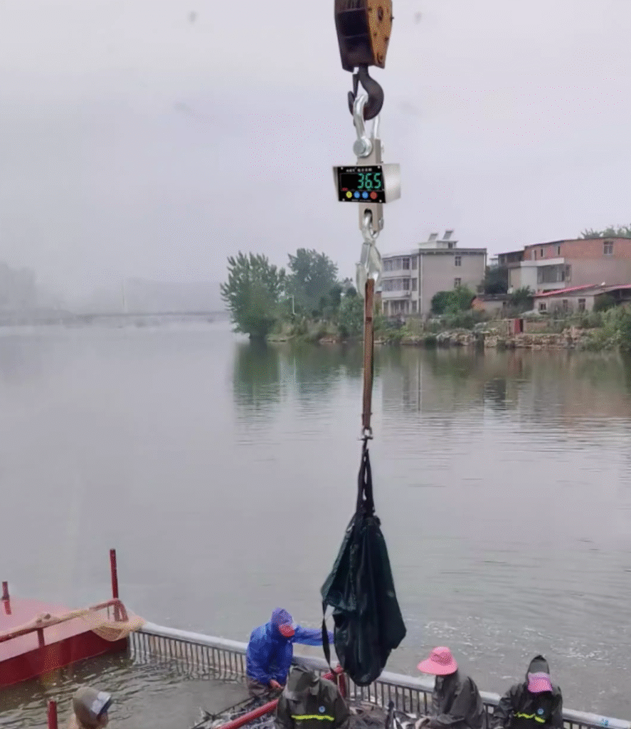 1T, 2T, 3T, 5T, 10T stainless steel waterproof crane scales