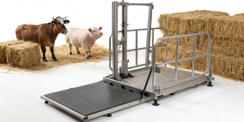 Multi-Animal Weighing Scale A versatile livestock scale with adjustable pens, suitable for different types of farm animals.
