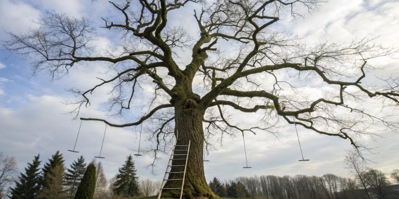 Choosing Between Analog and Digital A decision tree helping to choose between analog and digital load cells