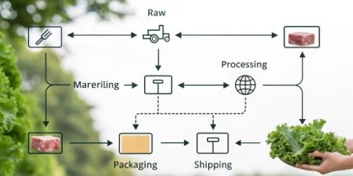 A simple flowchart illustrating the steps of food traceability from farm to fork