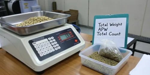 A simple diagram showing 'Total Weight' divided by 'Average Piece Weight' equals 'Total Count'