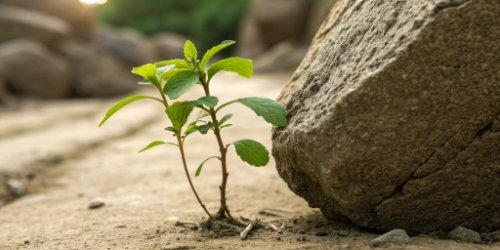 Manual Processes Hinder Growth A small plant trying to grow but being held down by a large rock labeled 'Manual Processes'.