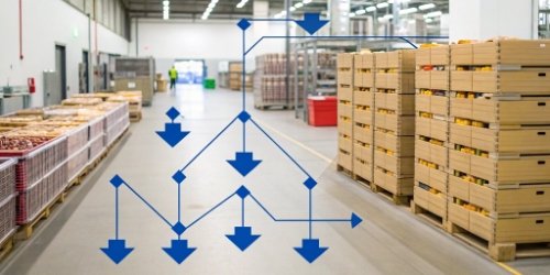 Food Safety Traceability Procedure Steps A diagram outlining the steps of a food safety traceability procedure