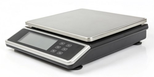 Can a Smart Label Printing Scale Act as a Standalone Terminal for Your Web-Based App?