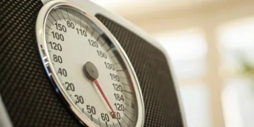 Specific Scale Data for Sorting A close-up of a digital scale display showing weight and other data points