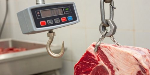A close-up of an RFID tag on a meat hook next to a digital scale display showing weight.