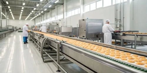 A clean and efficient food production line running smoothly with stainless steel equipment.