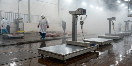 Can Your Scales Operate Reliably in Cold and Humid Slaughterhouse Environments?