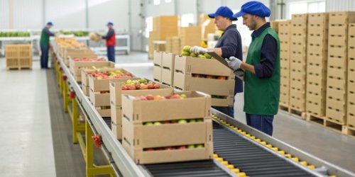 How Do You Guarantee Full Traceability for Every Box of Produce Shipped?