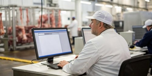 A manager comparing two software options on a computer screen in a slaughterhouse environment.