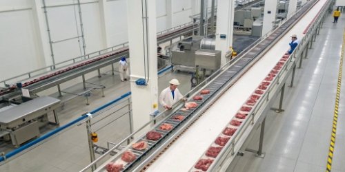 Dynamic Track Scale Instability Solution An overhead view of a dynamic track scale in a modern slaughterhouse