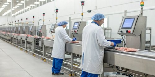 A modern slaughterhouse processing line with digital weighing scales.