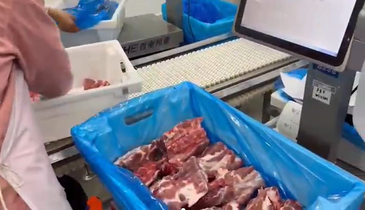Stainless steel scale in boning room environment