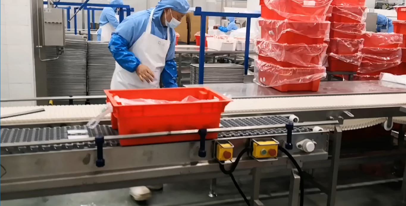 Checkweigher working on meat packing production line
