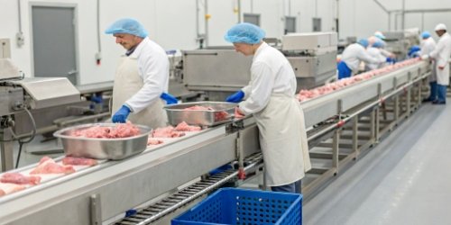 Dual-Metering Management in Meat Processing A modern slaughterhouse production line with industrial scales