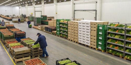 Is Manual Fresh Product Warehousing Slowing Down Your Operations?