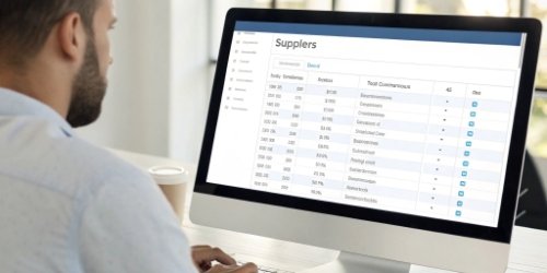 Digital Solutions for Preventing Supplier Fraud A computer screen showing a simplified user interface for suppliers with no customer details visible.