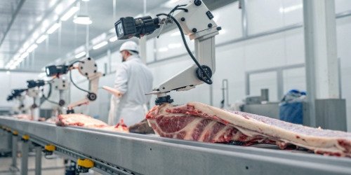 Visual sensor analyzing a meat carcass in a slaughterhouse