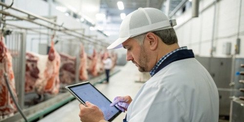 A manager reviewing performance dashboards on a tablet in a slaughterhouse environment
