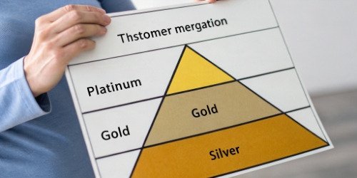 Customer Segmentation Tiers for Pricing A diagram showing customer segmentation into different value tiers (e.g., Platinum, Gold, Silver)