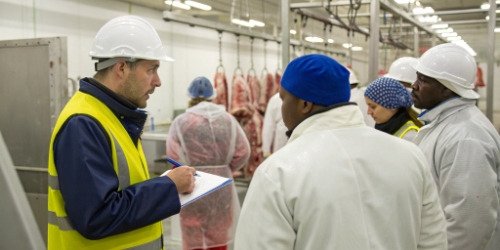 A technician providing on-site training to slaughterhouse workers on a new digital system